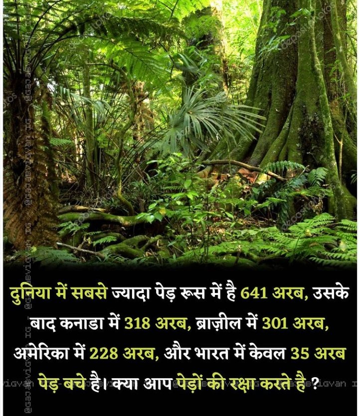 Dstar0615's tweet photo. "I STAND WITH BUXWAHA FOREST"
#Buxwahaforest https://t.co/UCXFewaVHb