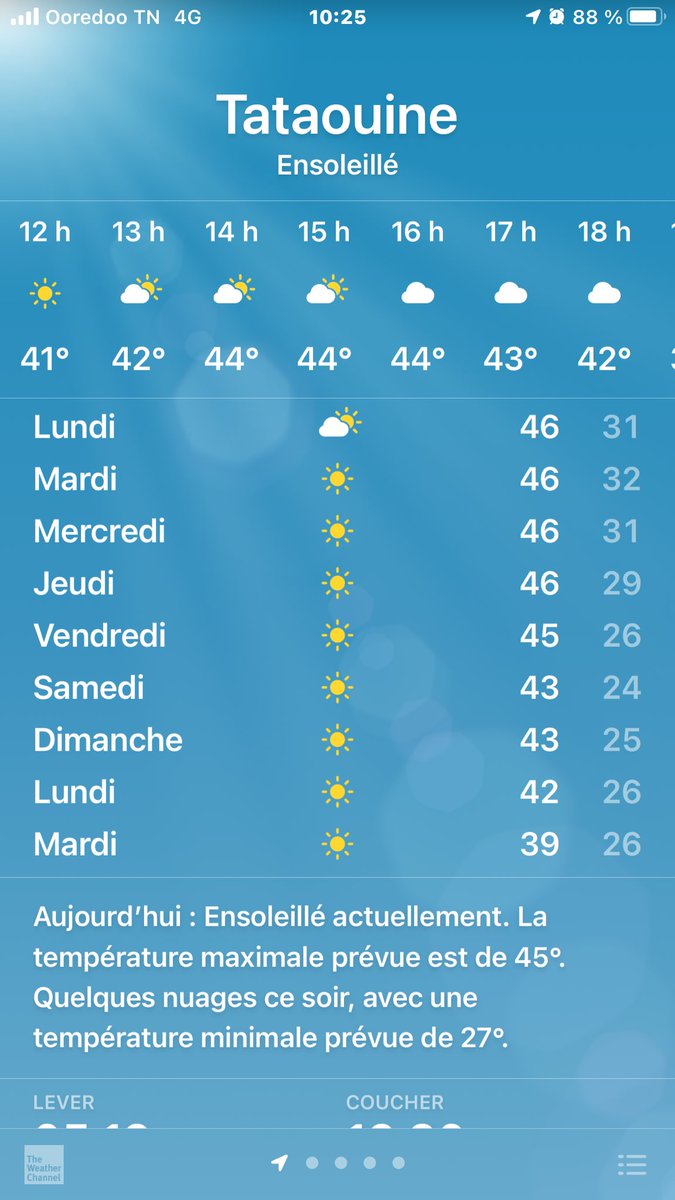 azizi·nejib tweet media