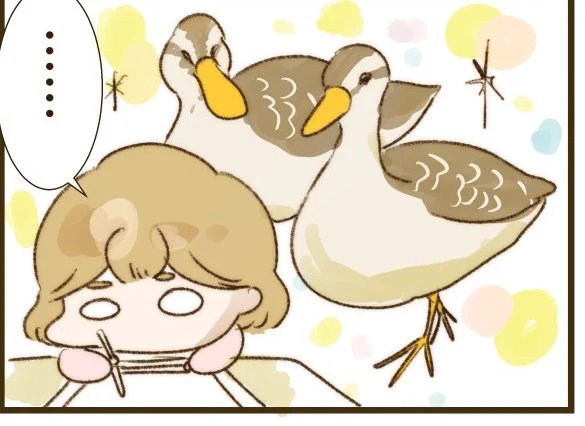 今日の21時に絵日記を投稿します❣️カルガモのお話です🦆

ざらりは明日月曜日21時です😊 