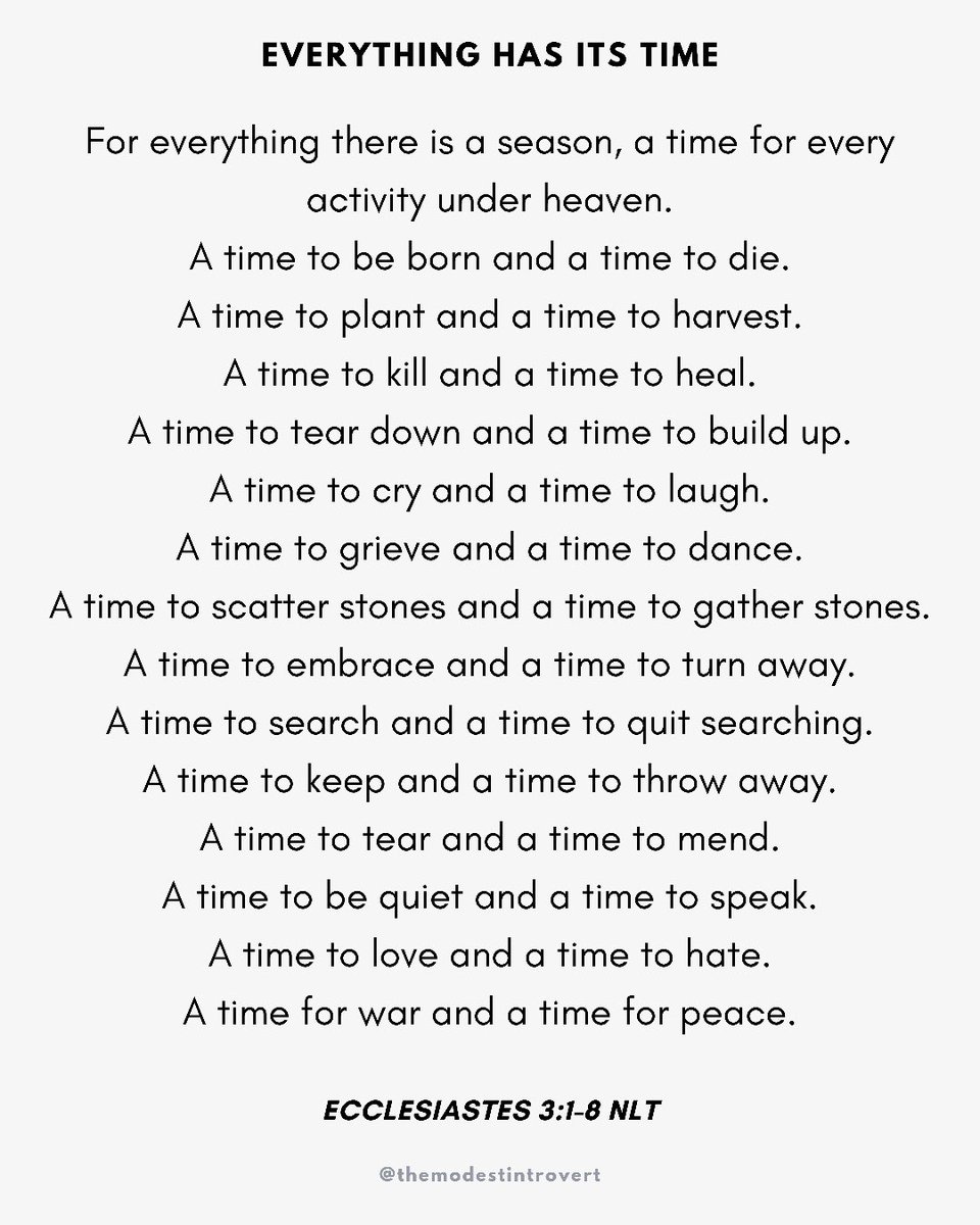 Rita | The Modest Introvert tweet media