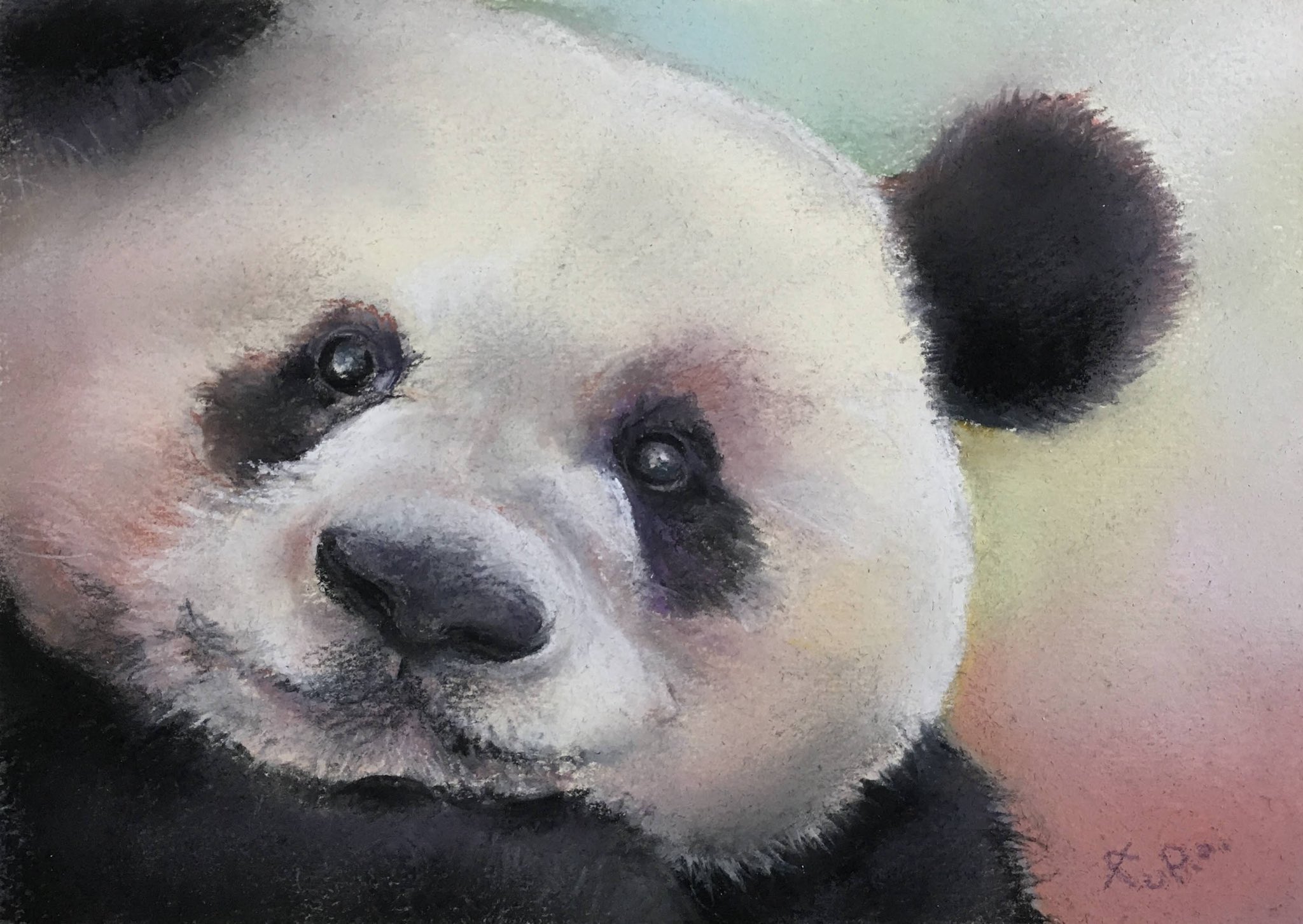 工房さんぽ パステル画 イラスト アナログイラスト 動物 パンダ かわいい 最近 パンダの双子の赤ちゃんが産まれただとか ほっこりします T Co Ieejc3k6gc Twitter