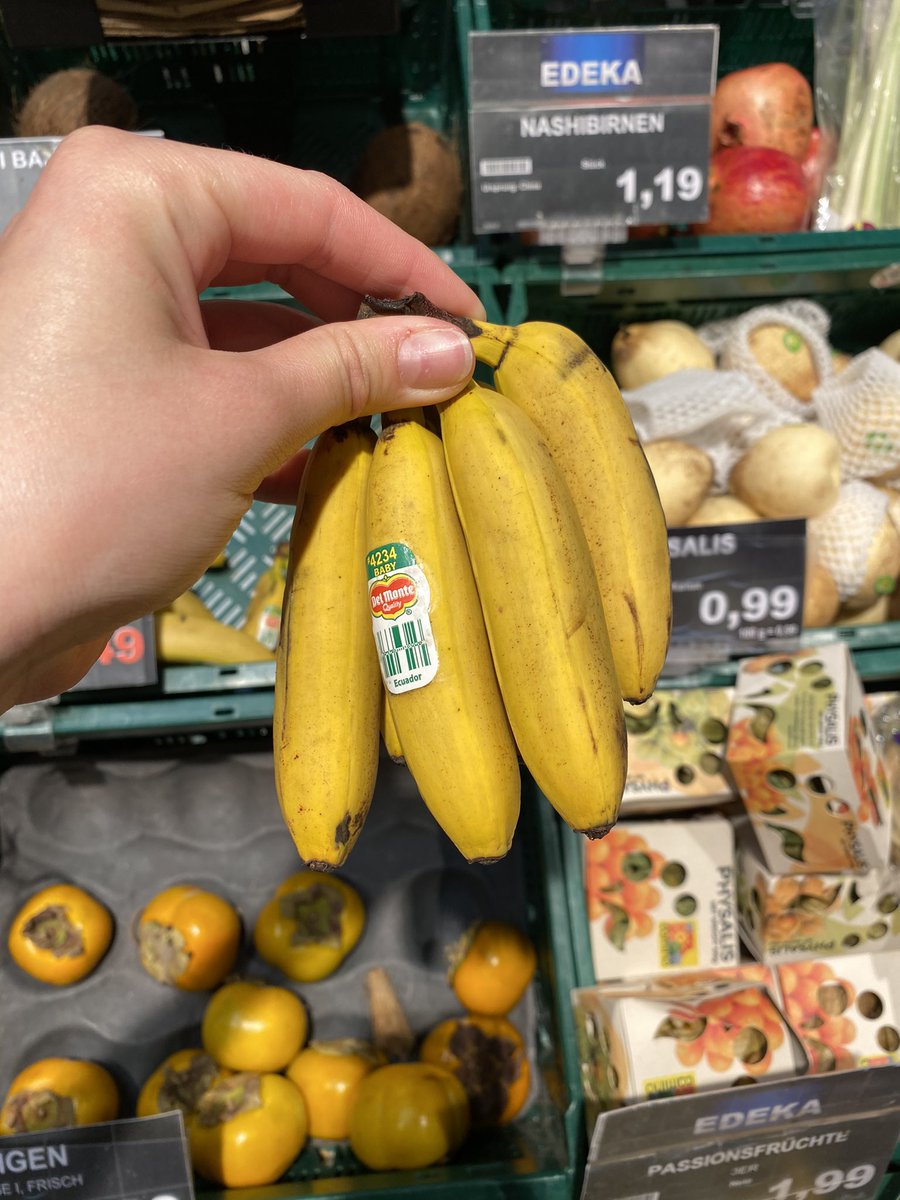 niewjem's tweet photo. Pyszności studenckie za granicą. Przyzwyczajamy się, bo już niedługo to będzie nasza codzienność ✨ #fitczerwiec https://t.co/Cx18eoMzEf