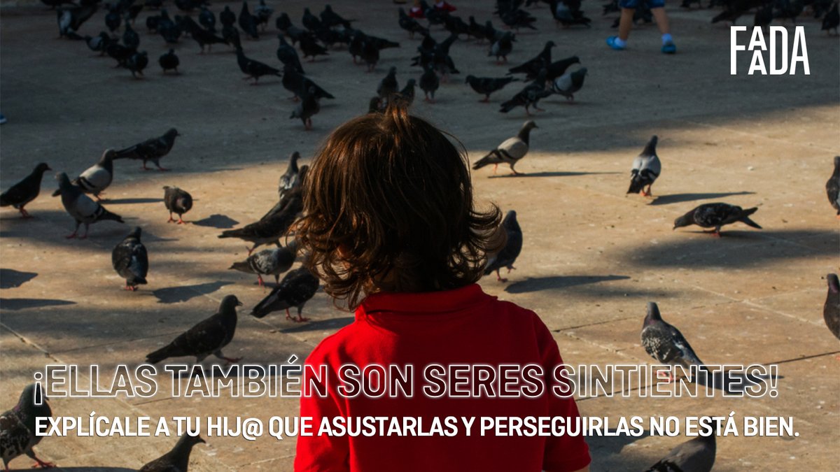 💚🕊️Las #palomas también son #animales que sienten y sufren, así que explícale a tu hij@ que asustarlas y perseguirlas NO está bien.

¡Dejémoslas vivir tranquilas!