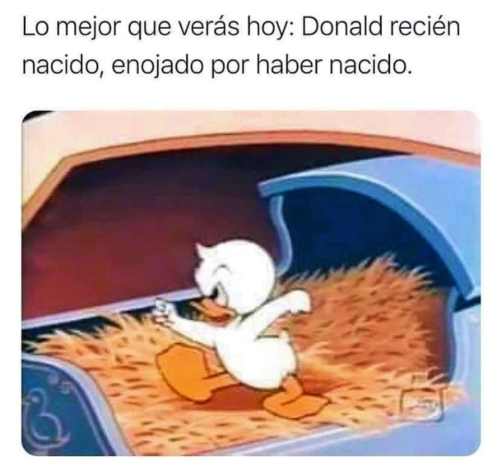 Me siento un poco Donald