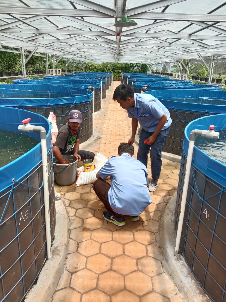 SwaraBahari's tweet photo. PPB Kab. Batang Jawa Tengah melakukan kegiatan monitor kualitas air pada bantuan pemerintah budidaya sistem bioflok tahun 2020
@jokowi
@saktitrenggono
@menpanrb

#SavePPB
#PPBgoPNS
#StopDiskriminasiPPB
#PNSkanPPB
#APPBIKASBI https://t.co/rcF2bSzsNN