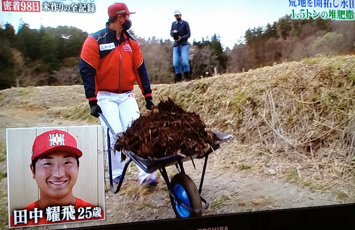りーくん あしゅらー 仮 ういっこくらぶ マリンマロン 鉄腕ダッシュ見てたら福島レッドホープス出てきたwwwwww 鉄腕 Dash 福島レッドホープス