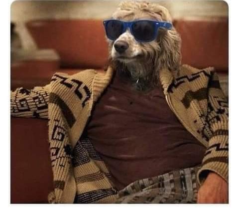 ProfMakabaza's tweet photo. @PrettiesMaduana 🤣🤣🤣🤣🤣 https://t.co/PSSGsHWycg