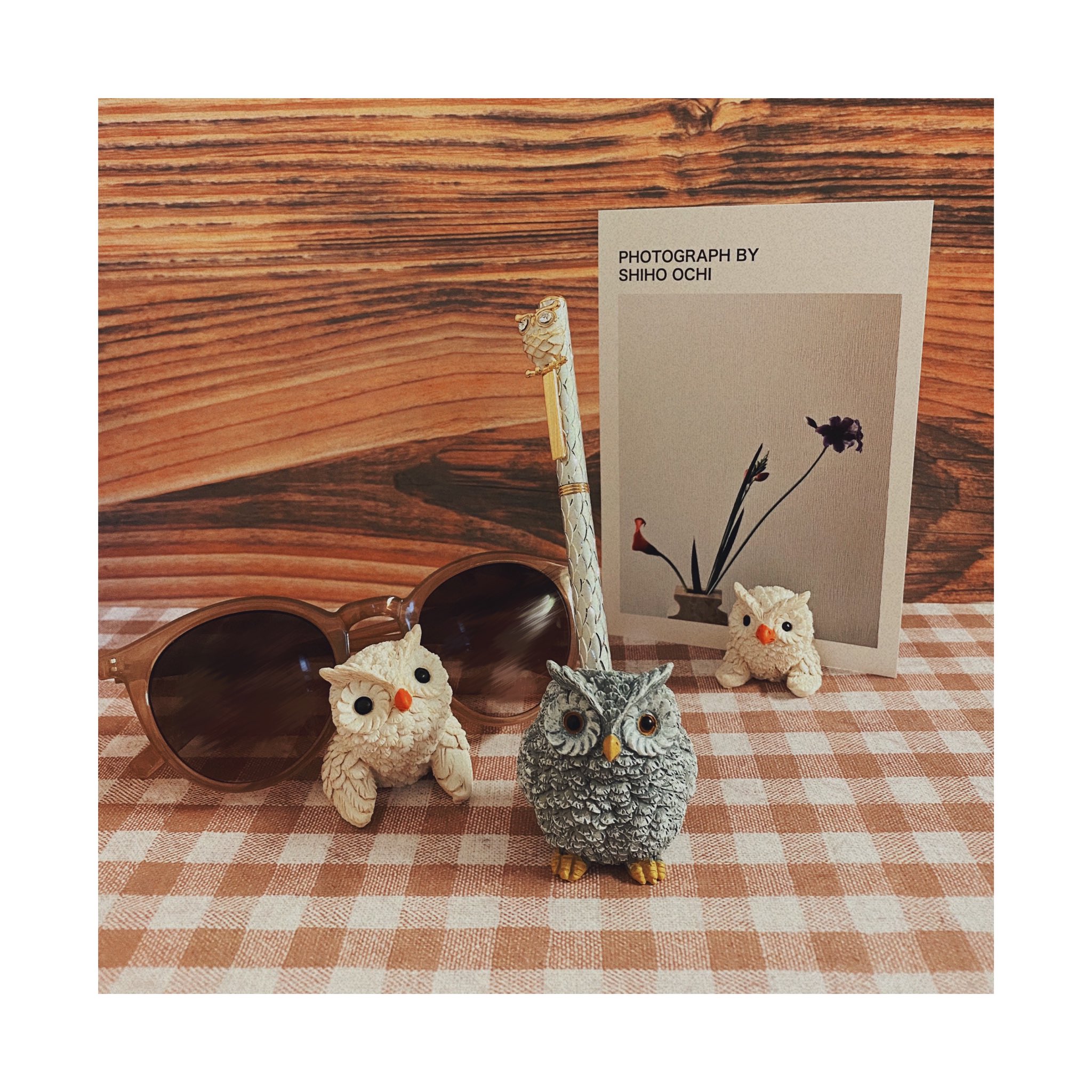 ট ইট র むっちゃんの睦月 ダイソーで買ったフクロウグッズ メガネスタンド スタンプスタンド 私はペン立てみたいにしたけど笑 カードとか挟めるマグネット 背景と下に敷いてるやつもダイソー フォトジェニックシート T Co