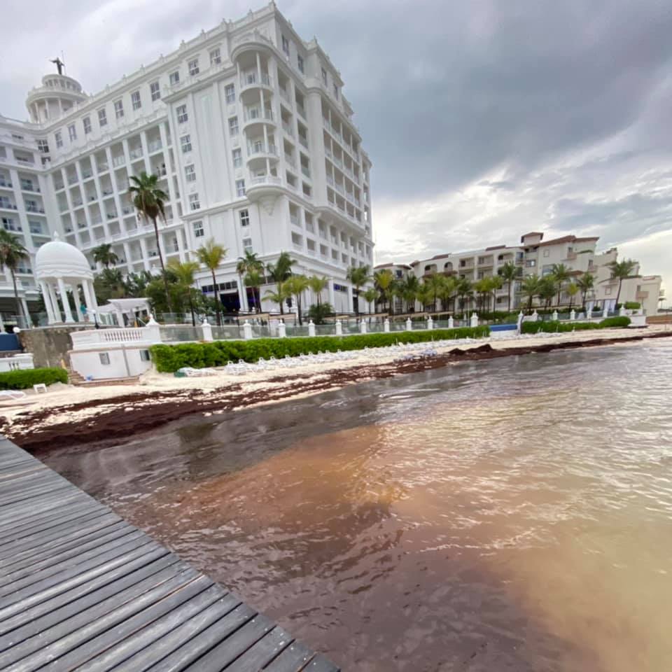 SargaMonitoring's tweet photo. 26/06/2021 #riupalace #lasamericas #puntacancun #cancun #rivieramaya #Mexico
Pictures of the day on our 2021 map, and much more on our website: https://t.co/wpro2wlTHk
#sargassum #sargasses #sargazo #climatechange #pollution #GlobalWarming #ocean #coastalmonitoring https://t.co/ugImj84ZBF
