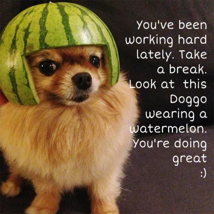 Hope you're all having a fabulous weekend! #weekend #SundayFunday #relax #chill