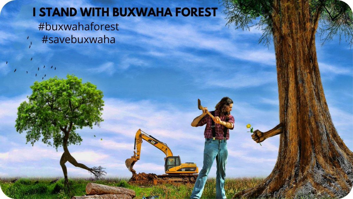 AnishaBagaria's tweet photo. I dont think we can afford this loss... Deforestation is real, Climate change is real, it's high time we should realise forests are the real treasure.🍀

#SaveBuxwahaForest 
@minforestmp
@moefcc
@chouhanshivraj https://t.co/lq7uE0AXJY