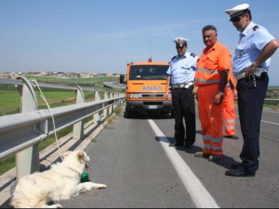 AurelioElios55's tweet image. MA COME SI PUÒ ESSERE COSÌ DISUMANI !!!