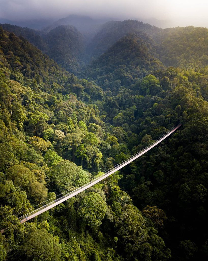 Refreshing views, anyone?
This aerial shot of the Situ Gunung Suspension Bridge in Sukabumi, West Java, has got us excited for a rejuvenating getaway!
Share some of your favorite rejuvenating spots in Indonesia.

📸 IG: qb.pixels

#FromIndonesiawithLove #WonderfulIndonesia