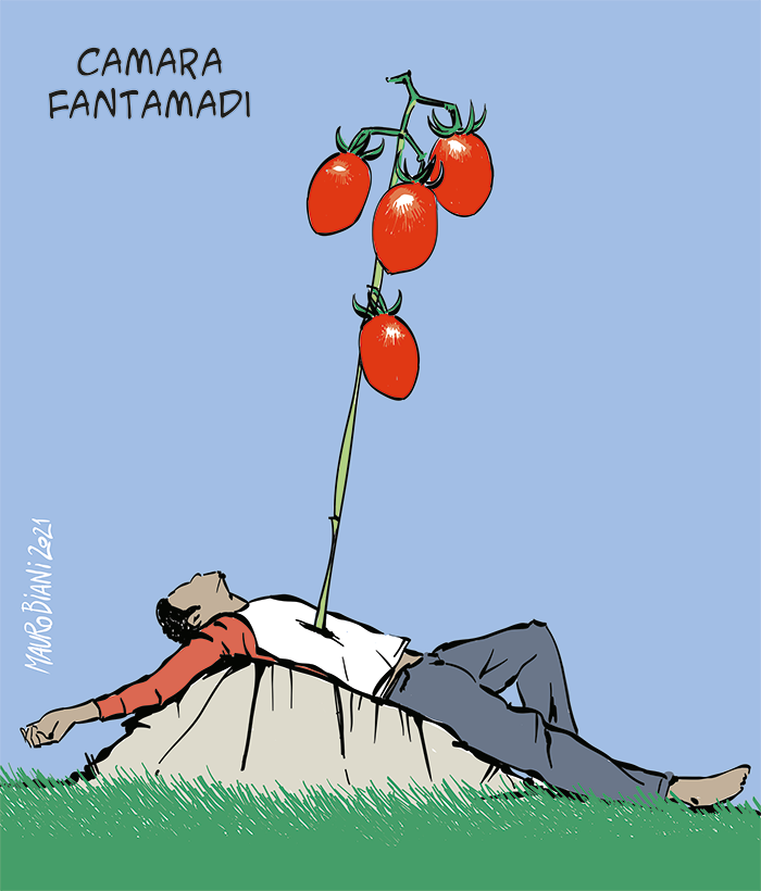 maurobiani's tweet photo. #CamaraFantamadi #lavoro #schiavismo
Oggi su @repubblica
https://t.co/5TygdRGlGj https://t.co/r7srgN9iJ1