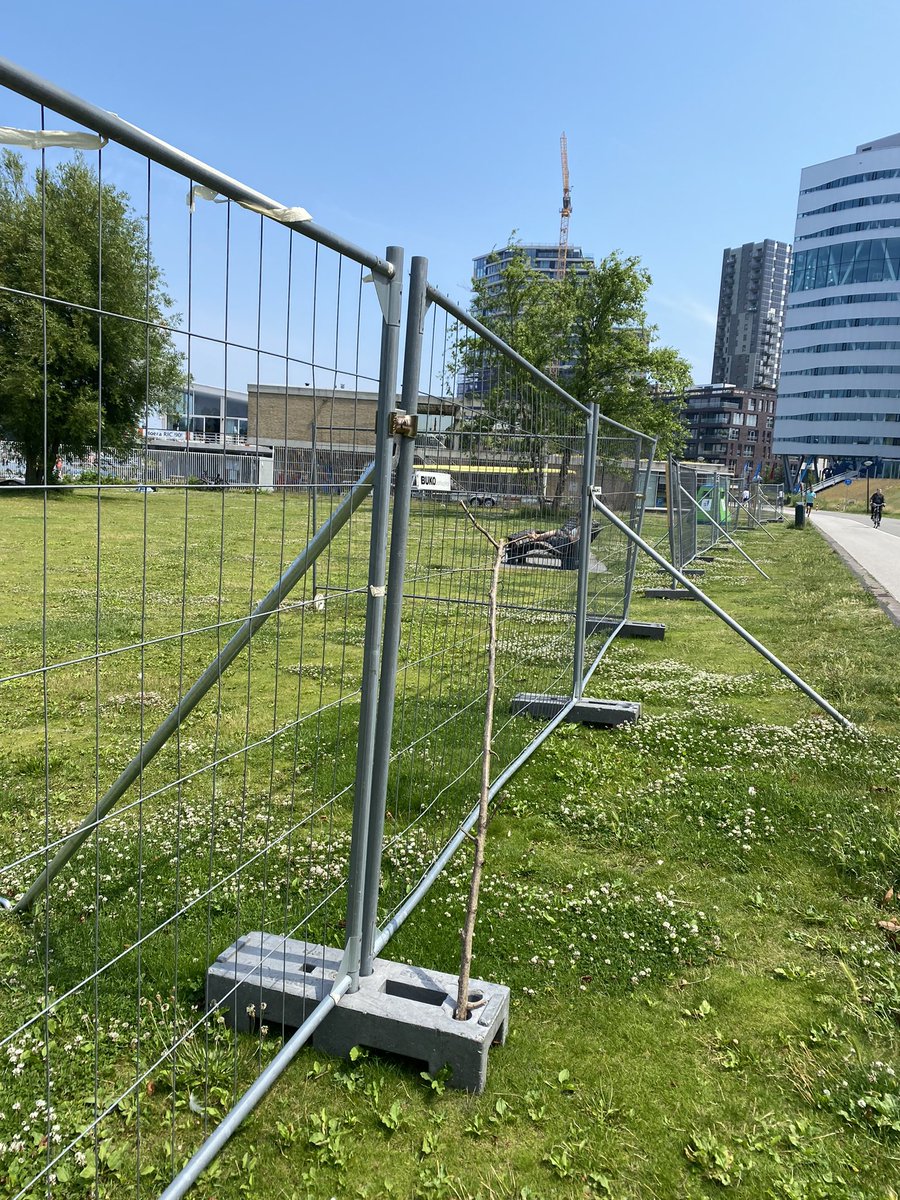 Misschien een idee om de hekken bij Somerlust weg te halen <a href="/AmsterdamNL/">Gemeente Amsterdam</a> ? Zodat je niet het gevoel hebt dat je je delinquente neef bezoekt als je even met je handdoekje aan de Amstel wilt liggen?