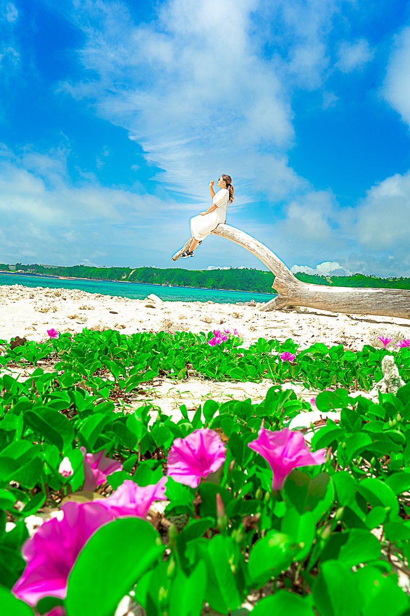 Okiripおきりっぷ 沖縄の観光youtubeチャンネル Okirip Twitter