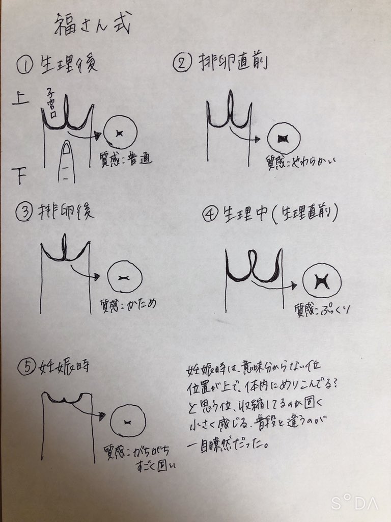 高温期10日目 福さん式