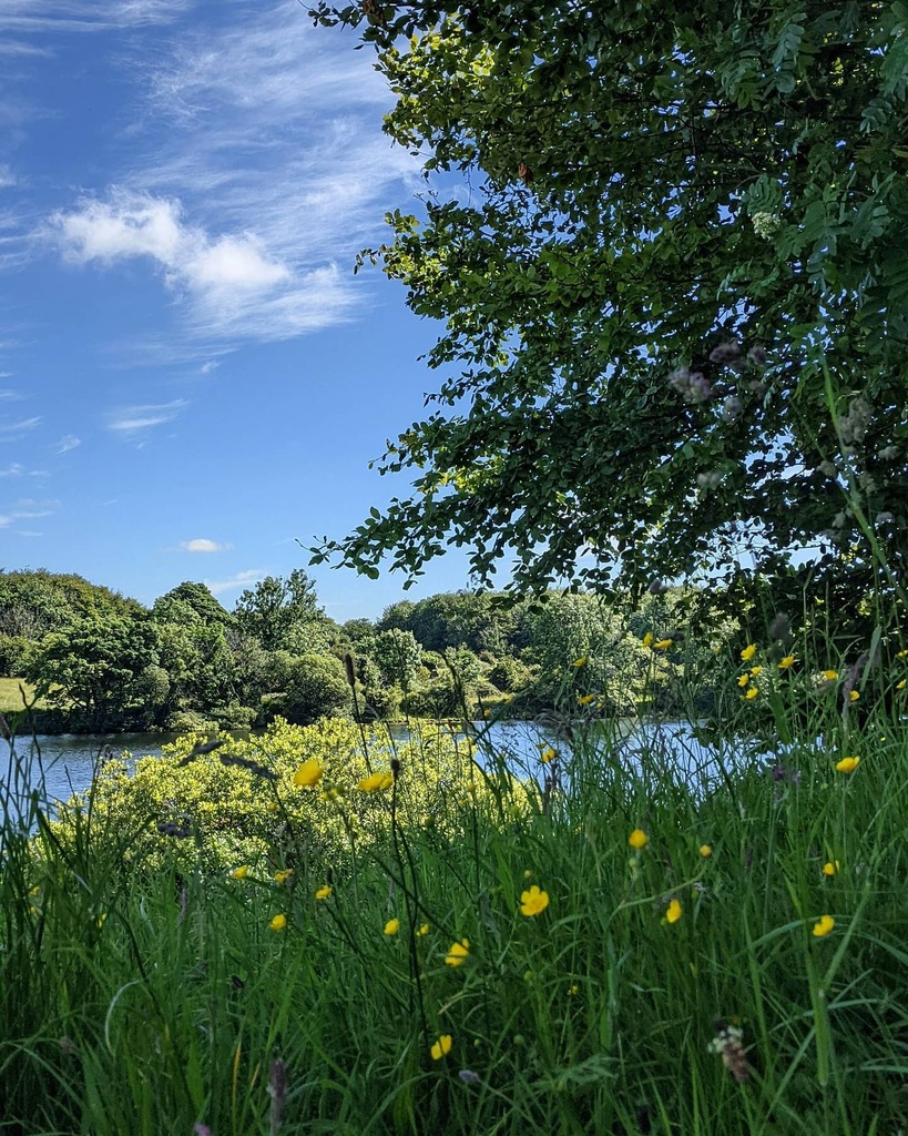 dorilyss's tweet photo. Summer to the river
.
.
#discoverireland #visitireland #icu_ireland #tourismireland #beautifulireland #irelandtravel #irelandcalling #thisisireland #loveireland #irlanda #inspireland #galway #galwaytourism #visitgalway #sightseeing #natgeo #ig_landscape … https://t.co/C0tSo4eHxL https://t.co/yEBvL8pWrQ