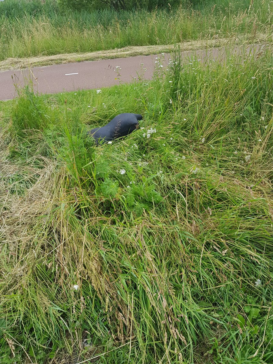 On my walk this morning, I saw an abandoned black mannequin, and had the briefest thrill until I realized it wasn't a bog body.  One day.