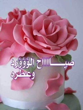 TYBALQALB1's tweet photo. https://t.co/fxwKUPAvrS