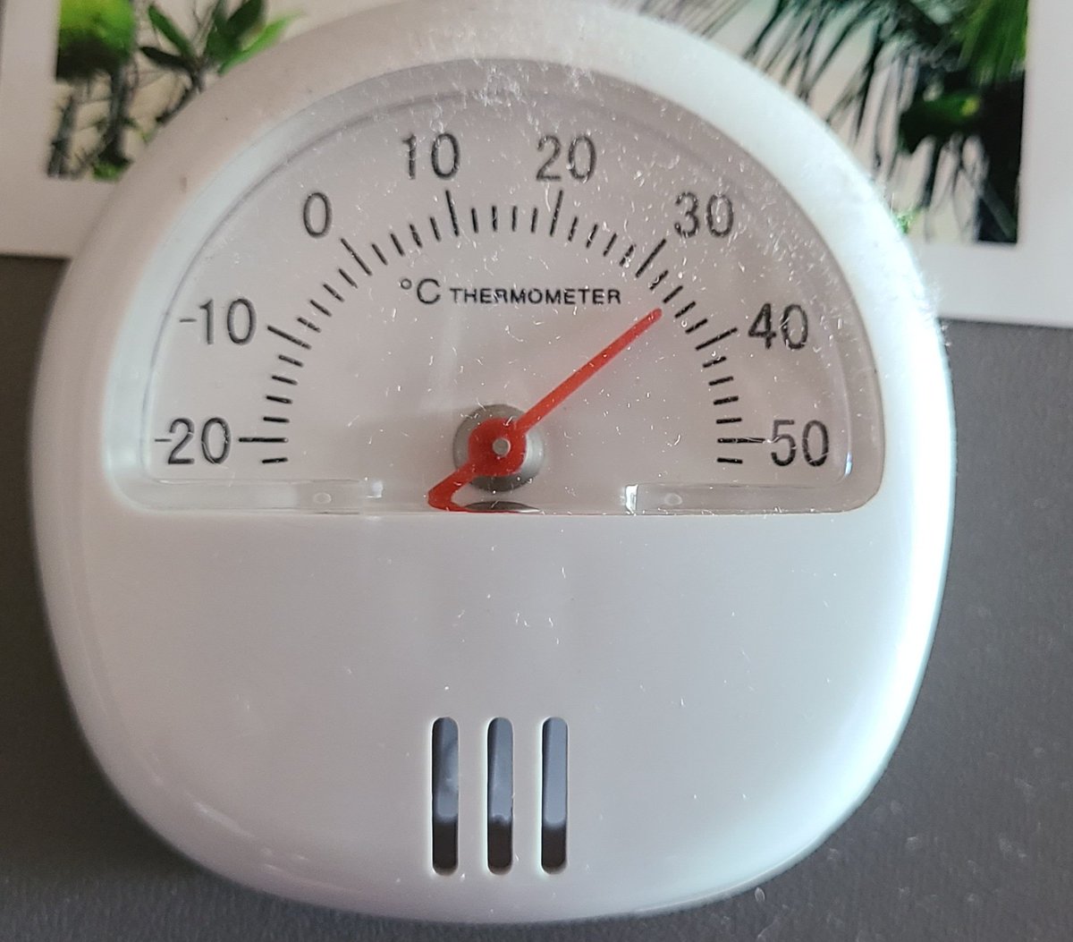 howyougo's tweet photo. Vancouver, current conditions on patio outside(left) &amp; inside (right) #bcheat #HEATWAVE #heatdome #BCStorm #vancouver #summer #currentconditions #sunday #firstweekendofsummer #ShareYourWeather https://t.co/zwwGVIRjD3