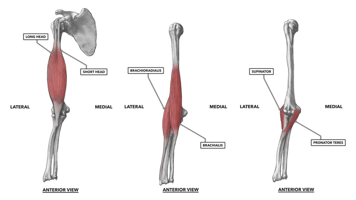 Arizona Sports Medicine Center tweet media