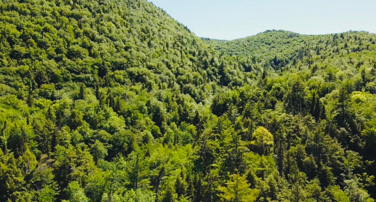 Doing some exploring in Cape Breton. It’s nice to find watersheds that are still mostly intact. Headwater to ocean.