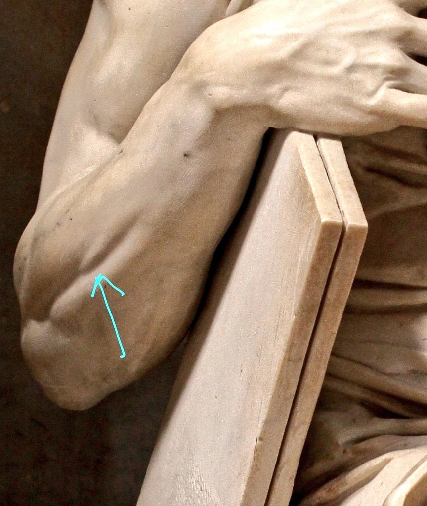 historycoolkids's tweet photo. This is the right forearm of Michelangelo's Moses (c. 1513–1515) statue. 

The arrow points to a small muscle called the extensor digiti minimi, which only contracts when the pinky is lifted, otherwise it is invisible. #History #art #Italy https://t.co/D2eCqMGNJ2
