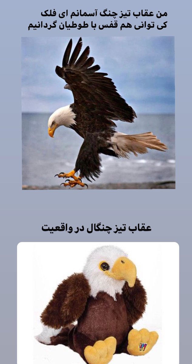 lilmat66's tweet photo. واقعیت vs مجازی https://t.co/T9680mEVPw