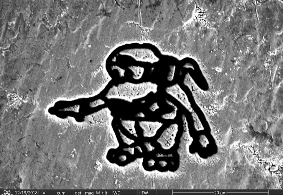 Volks 🐒👉🏻 tweet media