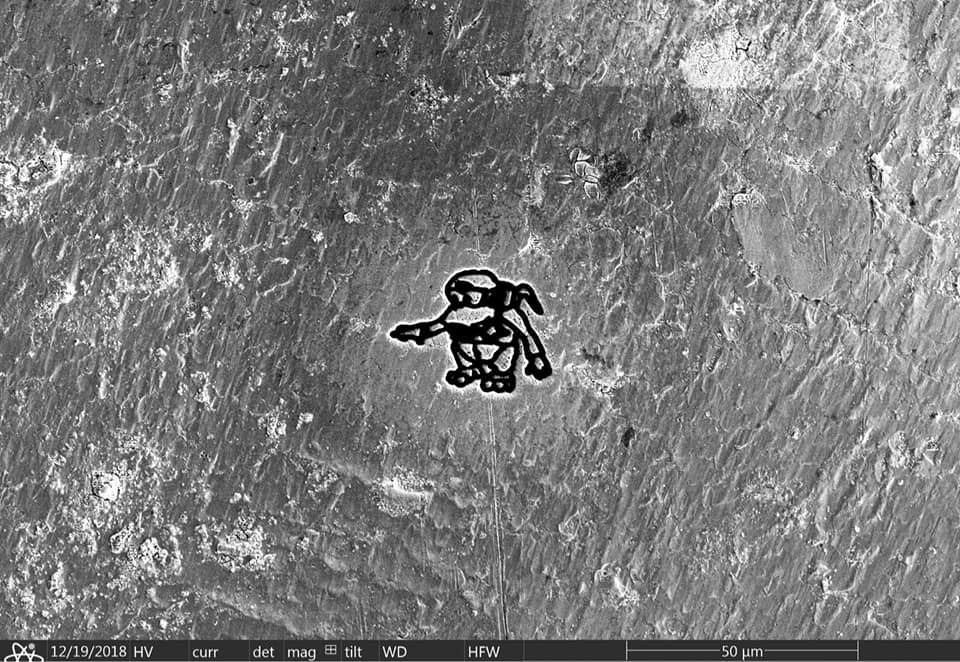 Volks 🐒👉🏻 tweet media