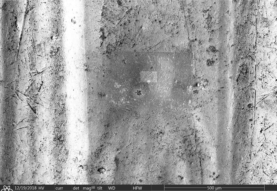 Volks 🐒👉🏻 tweet media