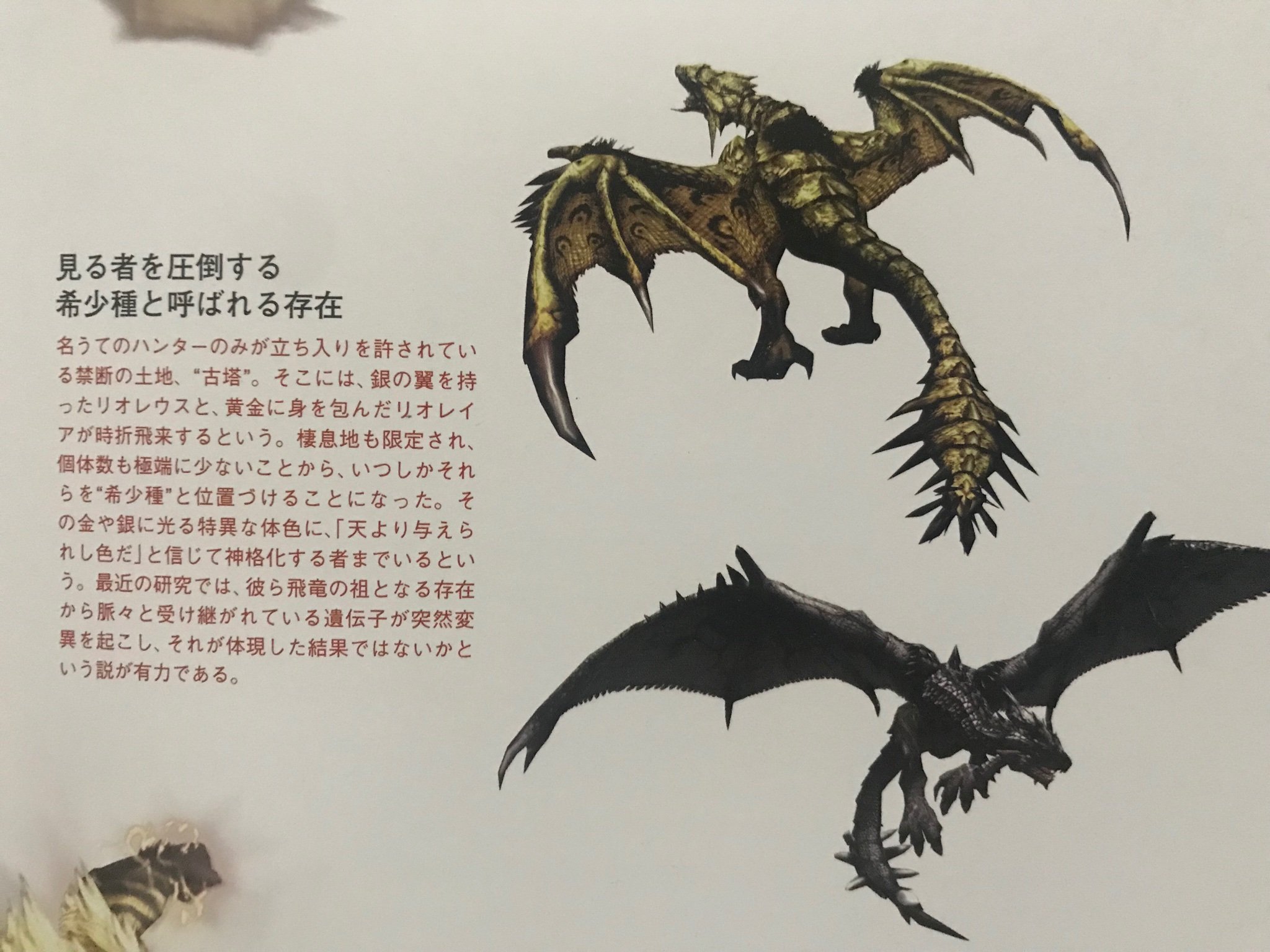 Gold a BannedLagiacrus color Rathian\'s inherited trait be mutated Rathian believe to Gold and \