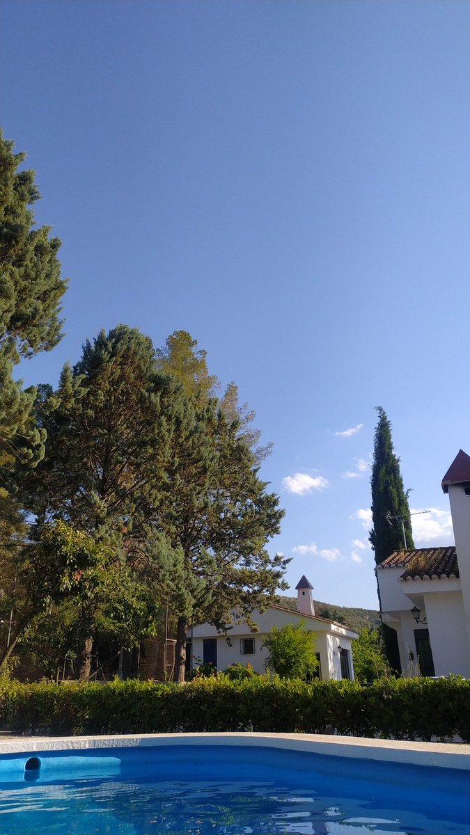 e_alaman's tweet photo. Esta guapa. https://t.co/YnpmtNv25s