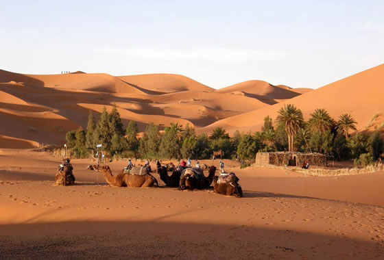 fuedicho's tweet image. "Las cosas no valen por el tiempo que duran, sino por las huellas que dejan".
Proverbio árabe
#Fuedicho