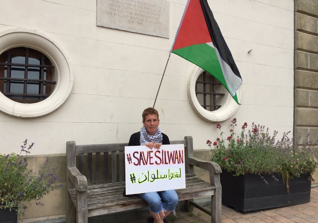 swilkinsonbc's tweet photo. Don't think you're ever too small to make a difference: in true Greta-Thunberg-style i'm out here on my own | keep it trending #SaveSilwan https://t.co/GOZvAoh9XE