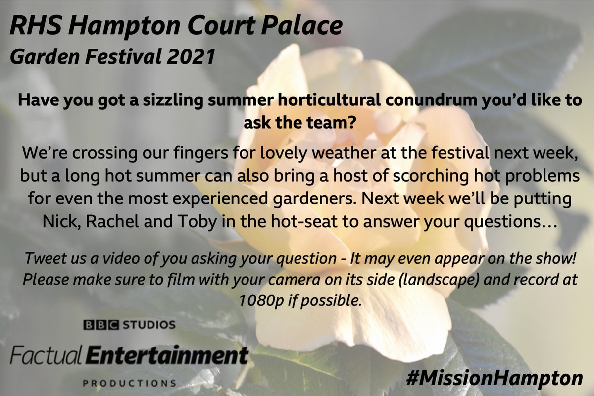 GWandShows's tweet photo. Are you as excited as we are for the return of the RHS Flower Shows this year?! The team will be heading to RHS Hampton Court Palace Garden Festival next week, and now, it’s your chance to get involved. We want to hear your summer gardening questions! #MissionHampton ☀️ https://t.co/onuoiV5URW