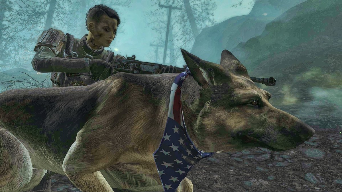 fallout 4 dogmeat clothing fallout 4 dogmeat clothing