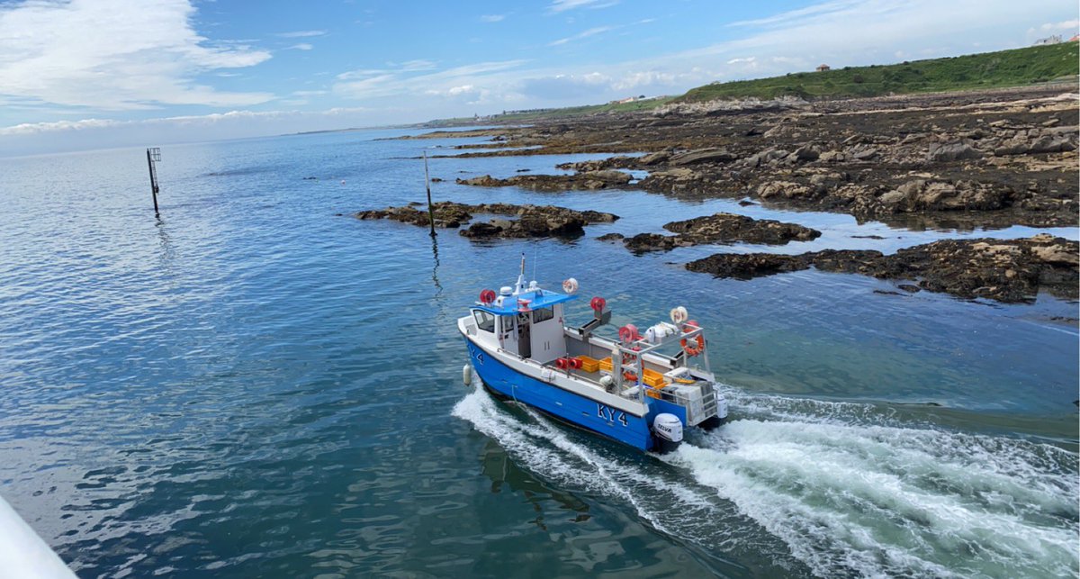 jjl_jjl's tweet image. #infinitypool #pittenweem #bathingpool #athomeheisatourist #travel #Fife #Scotland #fishinglife #fishingboat #PictureThis #youcouldlivehere #beach #outdoor #sundayvibes #summertime