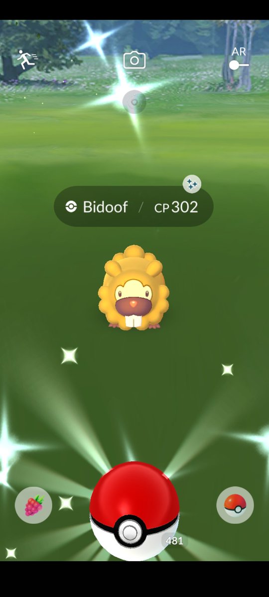 robykenobi's tweet photo. All hail #LordBidoof https://t.co/xPP3hYiQij
