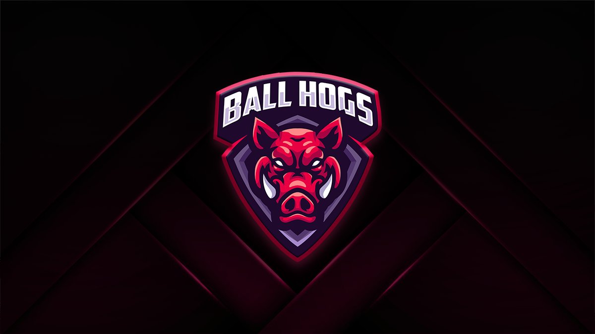 Ball Hogs has recently turned 1 year old. 🎂

It is a good time to update you all. Our Roller Champions roster is as strong as ever. We are patient, we are calibrated, and we are waiting to prove Clandestine Rivals was only the beginning.

Go team!❤️