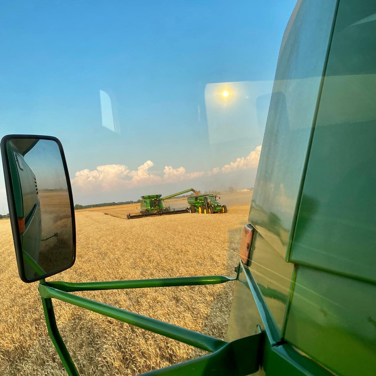 BTIequip's tweet photo. A lot of green in these golden Kansas wheat fields. #Combineviews #KSWheatHarvest21
👨🌾 Jeff Schwertfeger
📍 Turon, KS
📸 Samantha Houtwed https://t.co/YyAdTnqqv9