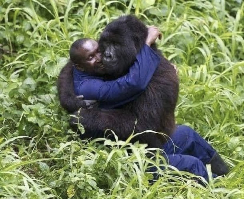 NickTaylorLLB's tweet image. Respect and care for all animals and the rewards are endless 💚