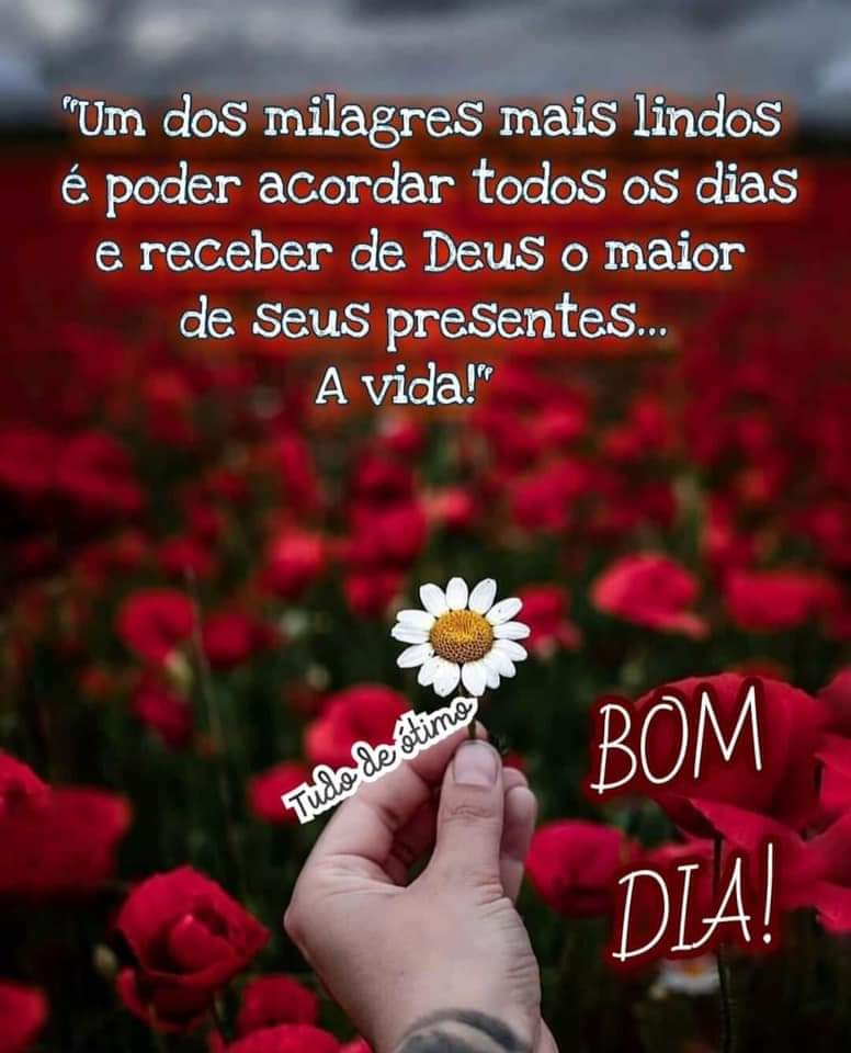 LUA CHEIA DE AMOR. on Twitter: LUA CHEIA DE AMOR. on Twitter: