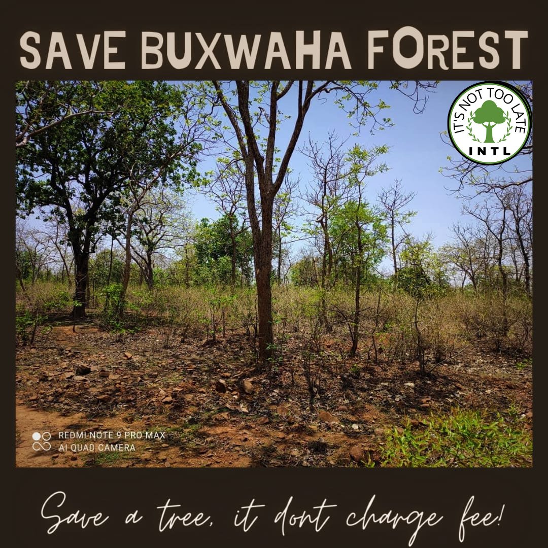 I STAND WITH BUXWAHA
Do you? 
<a href="/SaveBuxwaha/">SAVE BUXWAHA FOREST</a> <a href="/Earthworri1/">Earth Warrior</a> <a href="/EarthWorri/">Earth Warrior</a> <a href="/ChouhanShivraj/">Shivraj Singh Chouhan</a> <a href="/narendramodi/">Narendra Modi</a>