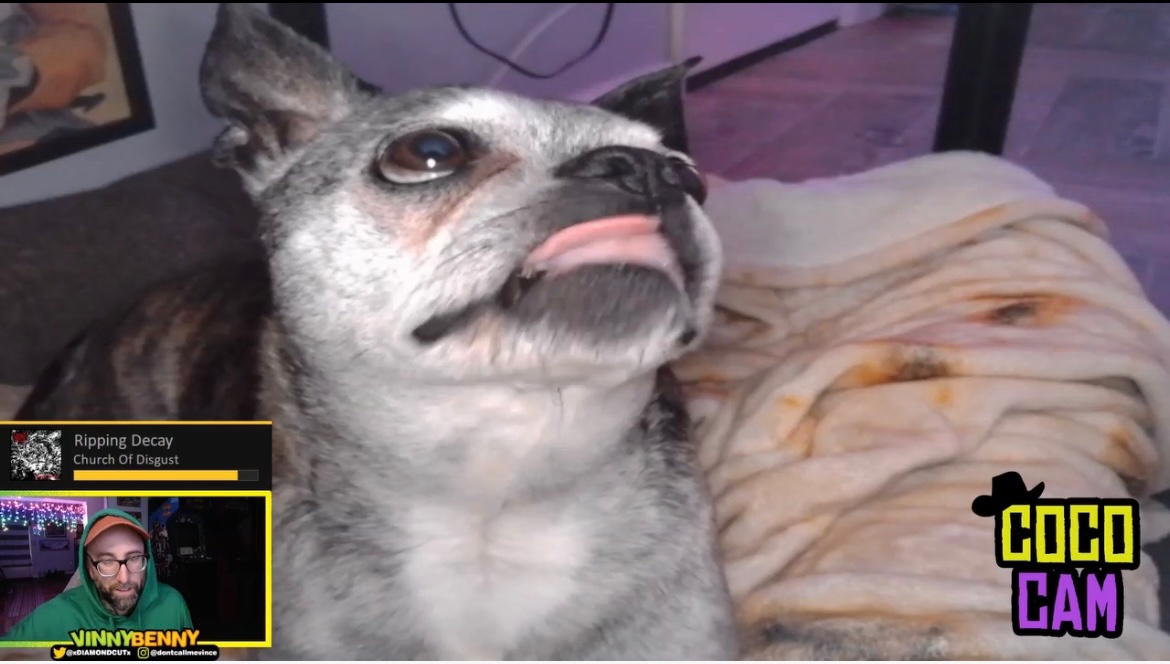 vincent bennett: filthy casual (@xdiamondcutx) on Twitter photo 