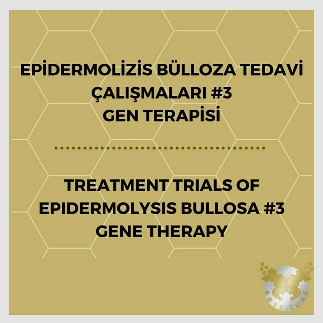 EBee_Cure's tweet photo. ✨Epidermolizis Bülloza Tedavi Çalışmaları #3 Gen Terapisi
✨Treatment Trials of Epidermolysis Bullosa #3 Gene Therapy
👇TR/ENG 👇
#Epidermolizisbülloza #Epidermolysisbullosa #kelebekhastalığı #butterflydisease #butterflychildren #kelebekçocuklar  @RaDiChallenge @CihanTastan_PhD https://t.co/uYQhYpezJU