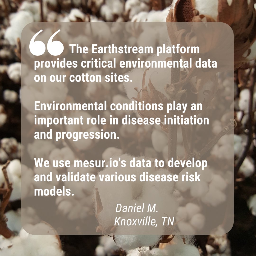 mesur_io's tweet image. The Earthstream platform is helping growers of many crops, including cotton, make informed decisions to enhance yield and fuel the world with food and fiber.