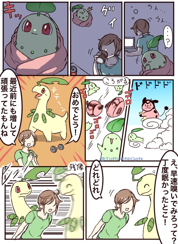 小作農ひよこ V Twitter ポケモンと生活 ぐうたらなチコリータとカフェインを沢山摂る社会人 小作農ひよこ V Twitter ポケモンと生活 ぐうたらなチコリータとカフェインを沢山摂る社会人