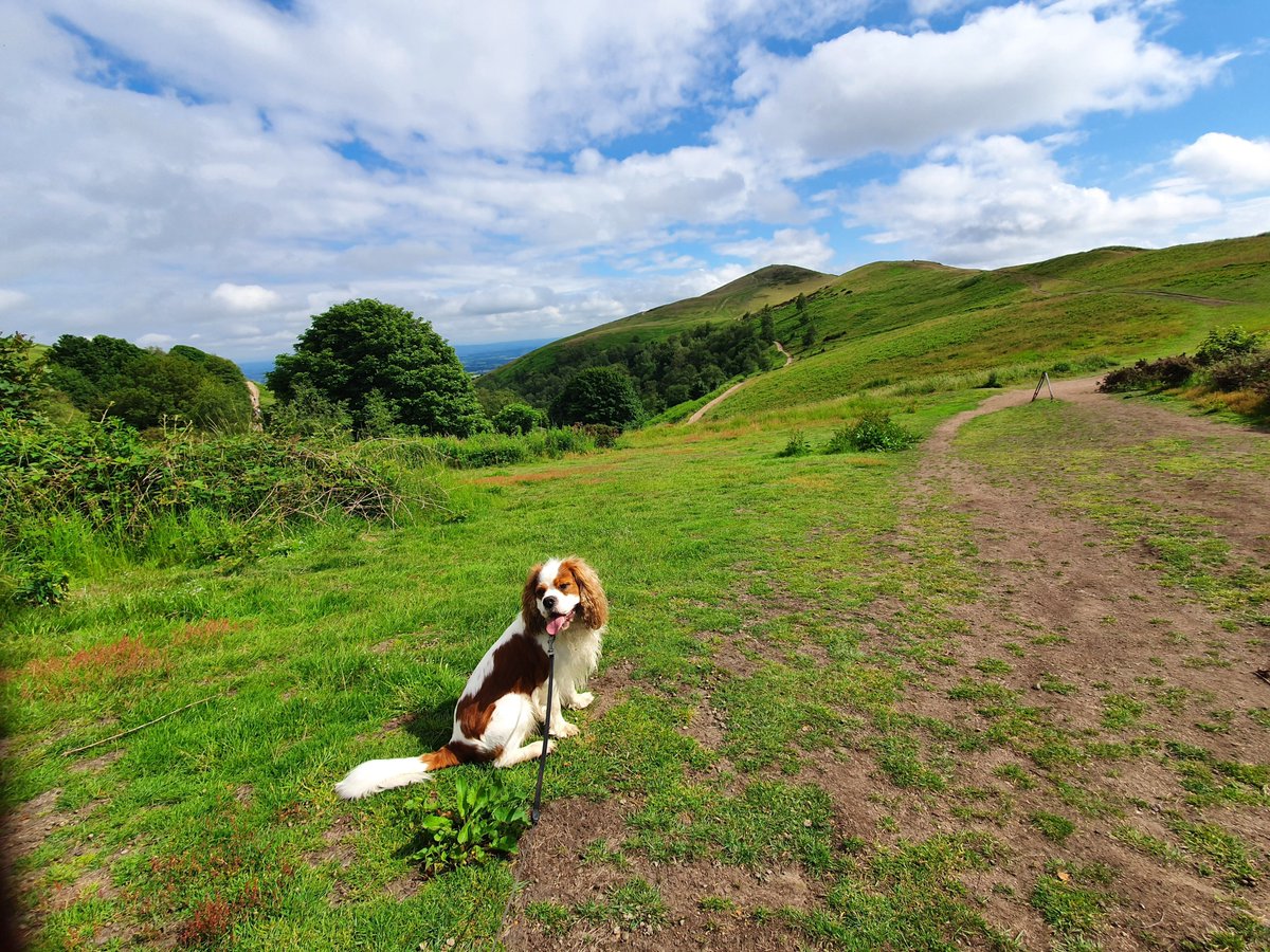 RJonTourUK tweet media